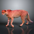 Realistic Cheetah With Spotted Fur Standing Alert On Dark Reflective Surface 3d model
