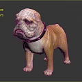 Realistic Orange and White Bulldog with Black Collar Standing on Gray Background