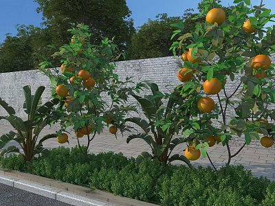 Municipal Road With Brick Wall Orange Trees Laden With Oranges Banana Plants And Green Shrubs 3d model