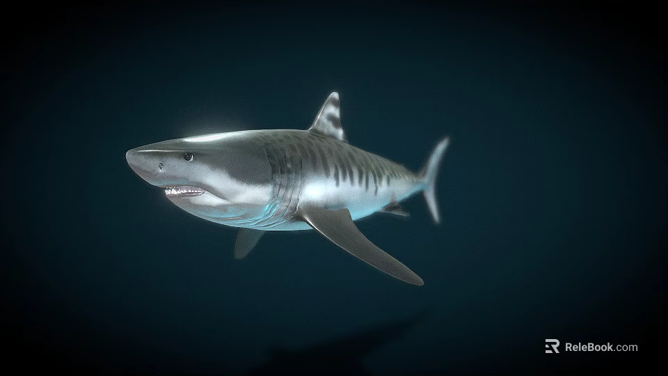 Realistic Shark Game Movie Character with Sharp Teeth and Streamlined Body 3d model 