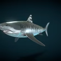 Realistic Shark Game Movie Character with Sharp Teeth and Streamlined Body