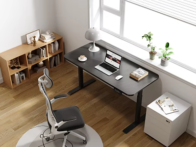 Work Desk Setup With Ergonomic Chair Laptop Desk Lamp Books And Green Plants 3d model