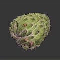 Fresh Green Sugar Apple Tropical Fruit With Textured Skin And Orange Spots