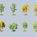 Collection of Diverse Arbor Trees with Green Yellow Leaves and Weeping Shapes