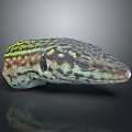 Colorful Lizard Head With Green Yellow Stripes And Detailed Scales Close Up View