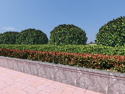 Well Trimmed Round Shrubs With Low Red Green Bushes Stone Wall And Red Brick Pavement 3d model