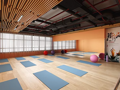 Spacious Yoga Fitness Studio With Blue Mats Colorful Exercise Balls Wooden Floor And Large Windows 3d model