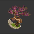 Artistic Bonsai Pine Tree With Curved Trunk Green Foliage And Rock Base