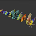 Colorful Tropical Fish With Various Colors Arranged In A Row Showing Different Shapes And Patterns