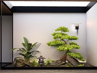 New Chinese-style Indoor Courtyard Setches Landscape Landscaping Pohan Pine Plant Landscape 3d model