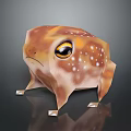 Low Poly Reptile 3D Model With Brown White Spots Large Eyes And Reflective Base 3d model
