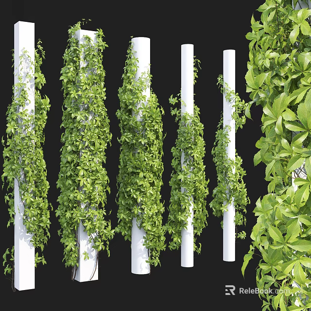 Lush Green Vines Climbing On White Pillars With Fresh Leaves 3d model 