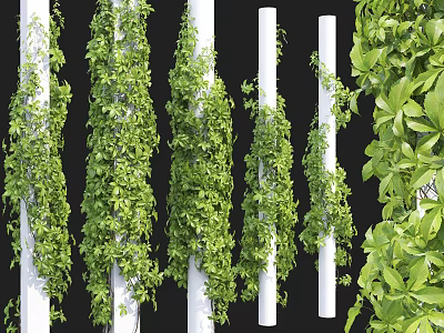 Lush Green Vines Climbing On White Pillars With Fresh Leaves 3d model