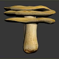 Three Yellow Mushrooms With Round Caps And White Stems On Dark Surface