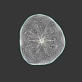 Intricate Star Shaped Crystal Sculpture With Transparent Glass Carving Design