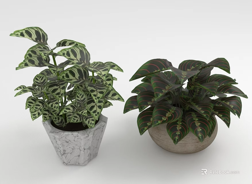 Indoor Green White Red Variegated Leaf Plants In Geometric And Ceramic Planters 3d model 