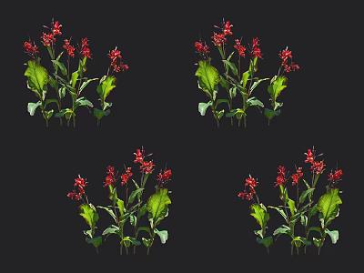 Lush Flowering Plants with Red Flowers and Green Leaves Arranged in Groups 3d model