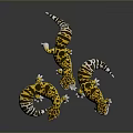 Three Yellow And Black Spotted Reptile Leopard Geckos In Different Poses 3d model