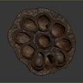 Natural Dried Lotus Seed Pod With Edible Seeds And Healthy Food Texture