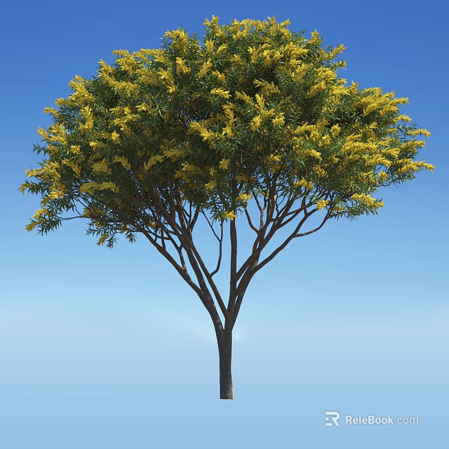 Tall Tree With Yellow Blossoms And Slender Branches Against Blue Sky 3d model 