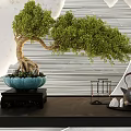 Stylish Bonsai Plant on Black Console Table with Blue Pot Against Mountain Pattern Wall