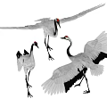 Modern Crane Red-crowned Crane 3d model