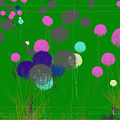 Beautiful White Fluffy Flowers Blooming In Green Grass With Colorful Small Flowers In Natural Meadow