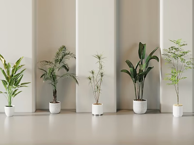 Various Green Potted Plants In White Pots Against Light Walls And Floor Minimalist Modern Style 3d model