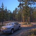 Outdoor Scene Driving a Car in the Deep Forest at Dusk 3d model