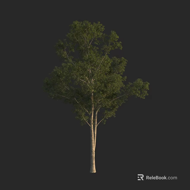 Lush Green Arbor With Tall Trunk And Dense Foliage Structure 3d model