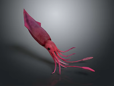 Pink Squid Marine Creature With Long Tentacles And Detailed Eyes In 3D Rendering 3d model