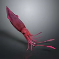 Pink Squid Marine Creature With Long Tentacles And Detailed Eyes In 3D Rendering
