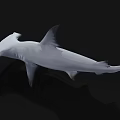 Realistic White Shark Model With Sharp Teeth And Detailed Fins 3d model
