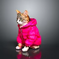 Cute Tabby Cat Wearing Bright Pink Puffer Coat Sitting On Shiny Dark Surface