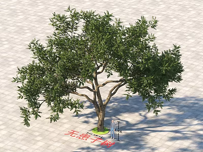 Lush Green Arbor With Thick Trunk And Person Standing Under On Paved Ground 3d model