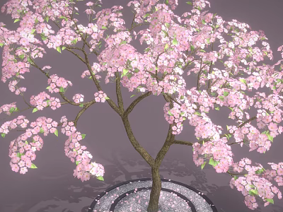 Lush Arbor with Dense Pink Blossoms and Brown Trunk on Circular Ground Surface 3d model