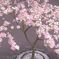 Sakura Tree Sakura Tree Cartoon Tree Cartoon Flower 3d model