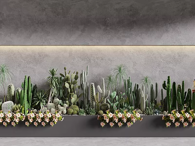 Diverse Cactus Succulent Plant Combination in Planter Boxes with Gray Wall Pink White Flowers 3d model