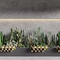 Diverse Cactus Succulent Plant Combination in Planter Boxes with Gray Wall Pink White Flowers