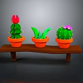Colorful Cactus Plants with Red Purple Flowers in Orange Pots on Wooden Shelf