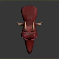 Fierce Red Dragon Head With Green Eyes Yellow Teeth Horns And Spiked Fins