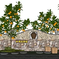 Natural Stone Landscape Wall with Clay Pots Orange Trees Bearing Fruits and Blue Sky