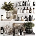 Modern Bathroom Accessories Arranged on Shelves With Glass Bottles and Decorative Plants