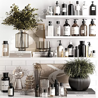 Modern Bathroom Accessories Arranged on Shelves With Glass Bottles and Decorative Plants 3d model