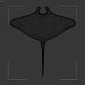 Black and White Manta Ray Featuring Unique Pattern and Long Tail in Blue Water