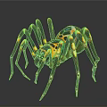 Colorful Spider With Vibrant Yellow Blue Patterns And Long Legs