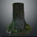 Lush Green Plants Growing Around Tree Stump Base With Natural Bark Texture