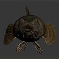 Dark Spotted Fish With Brown Fins And Textured Body On Gray Background