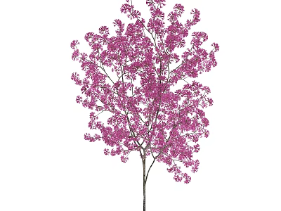 Stunning Arbor With Vibrant Pink Flowers In Full Bloom Season 3d model