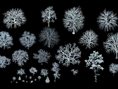 Various Arbor Trees Silhouette Collection With Different Sizes And Shapes On Black Background 3d model